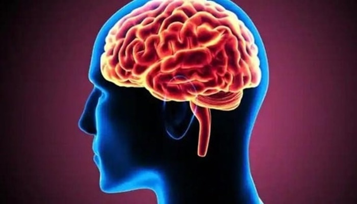 Brain-Eating Amoeba