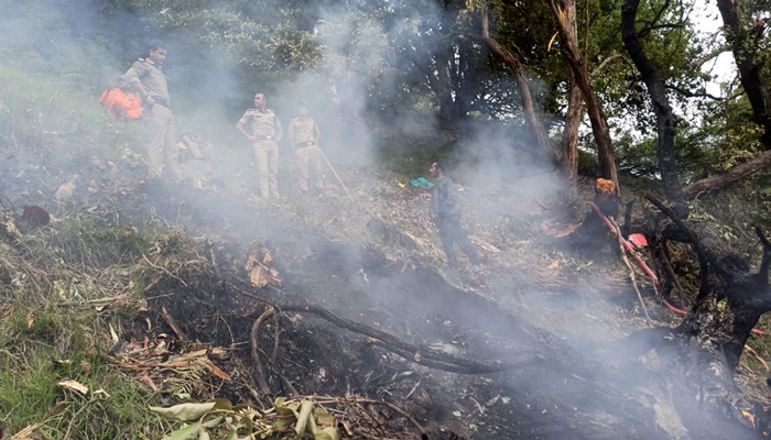 Kedarnath Helicopter Crash