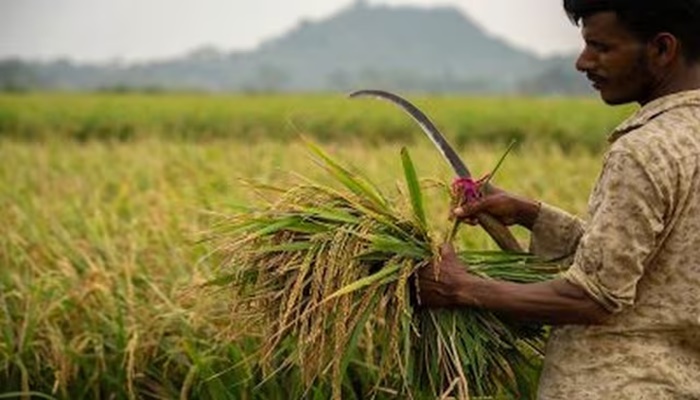 Maharashtra Crop Damage Compensation