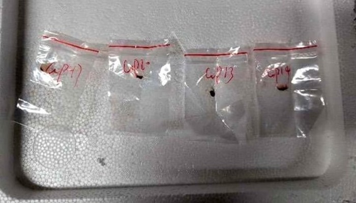 Chinese Arrested For Smuggling Biological Pathogen Into US