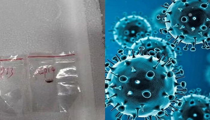 Toxic Fungus Smuggling