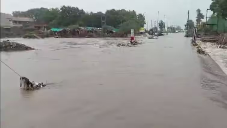 gujrat heavy rainfall