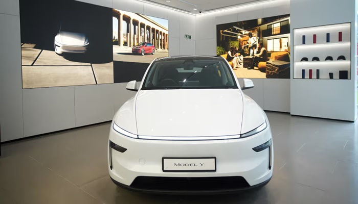Tesla India Price