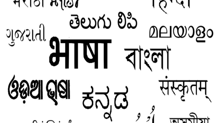Indian Language Debate