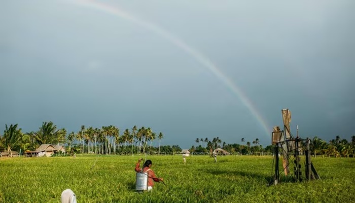 PM Dhan Dhanya Krishi Yojana