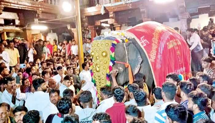 Mahadev elephant