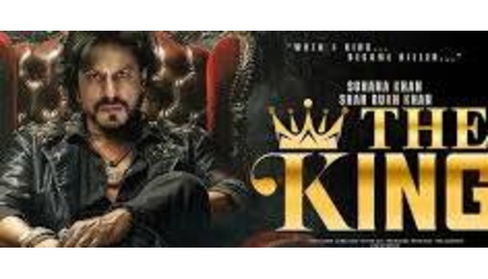 Shah Rukh Khan injured