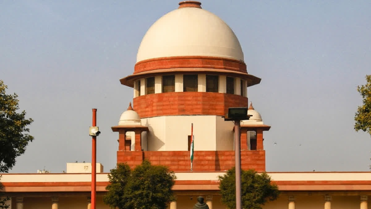 Trees in Film City to Be Cut for Goregaon-Mulund Link Road! Supreme Court Grants Approval