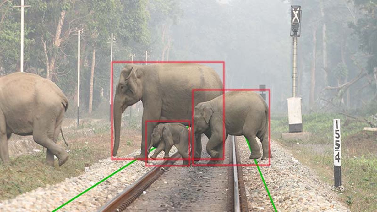 AI System elephant railway track