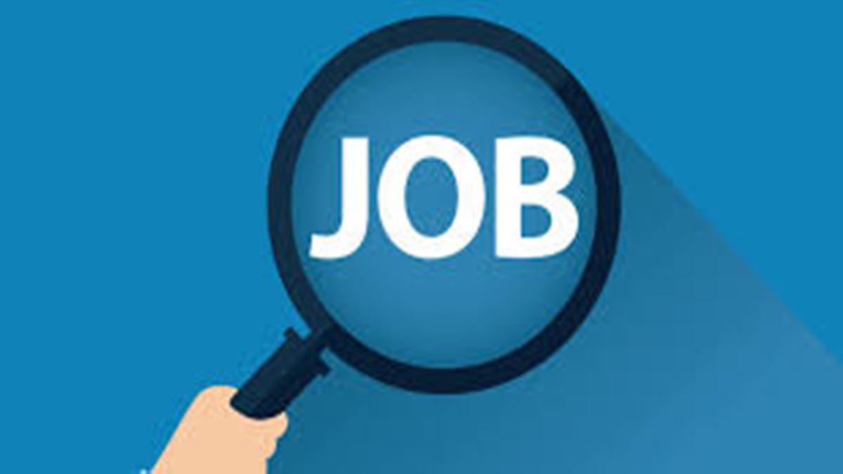 IBPS Clerk Recruitment 2025: सरकारी बँकेत नोकरीची संधी, 10,277 पदांसाठी अर्ज प्रक्रिया सुरू