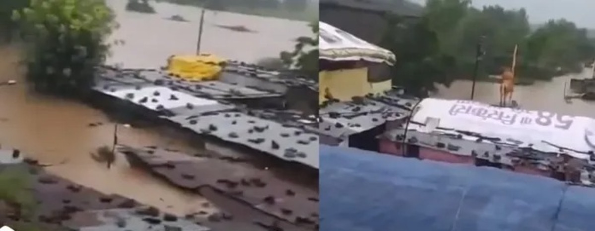Six Villages Including Rawangaon Submerged in Nanded! 5 People Missing