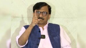 sanjay raut vs devendra fadnavis