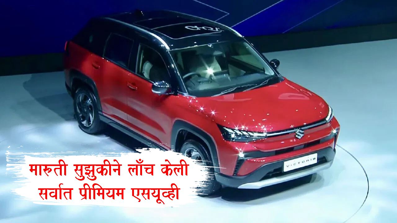 Maruti Suzuki Victoria