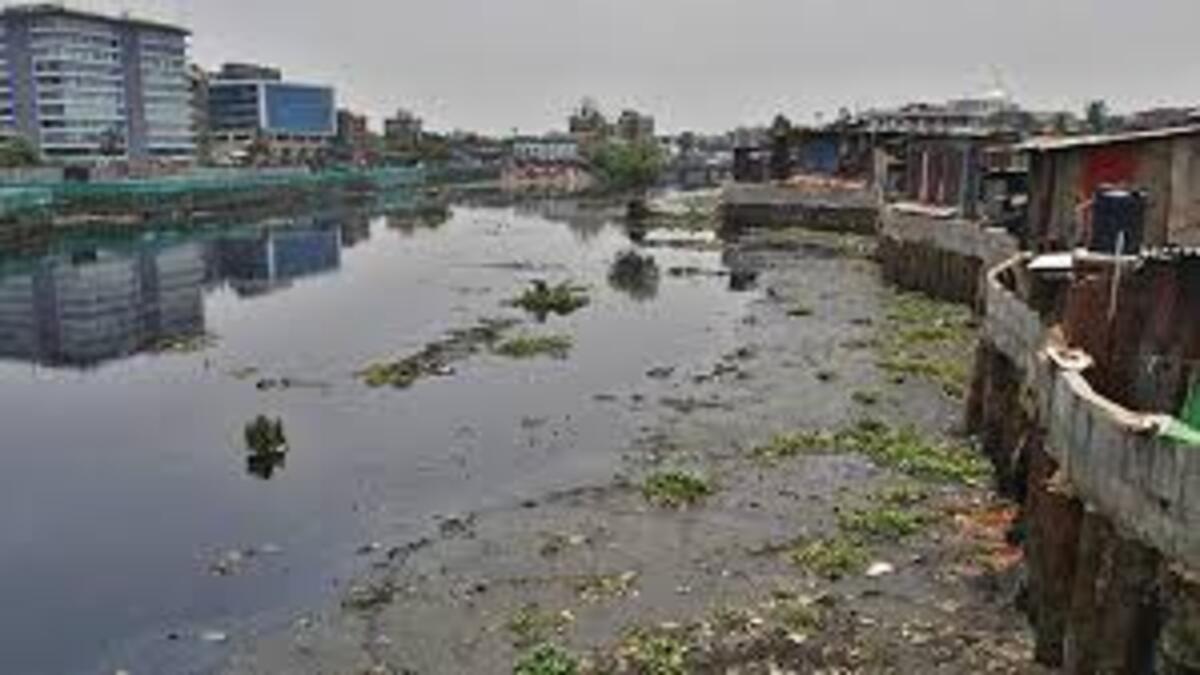 Mithi River