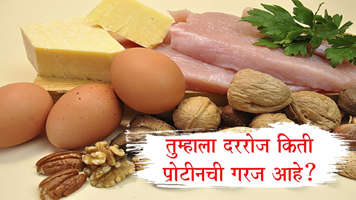 Daily Protein Intake