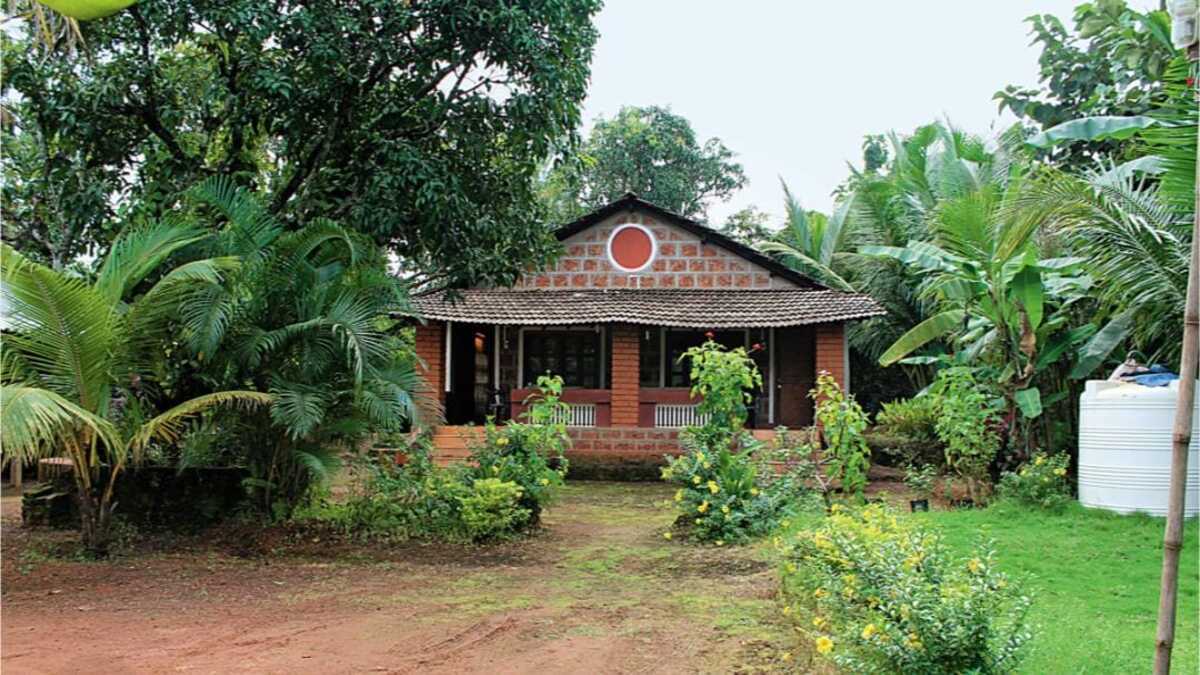 Ban on felling trees