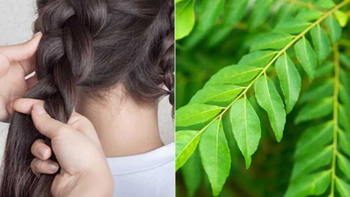 Curry Leaves for Hair