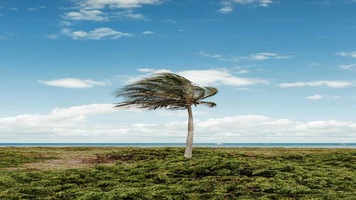 Maharashtra weather update