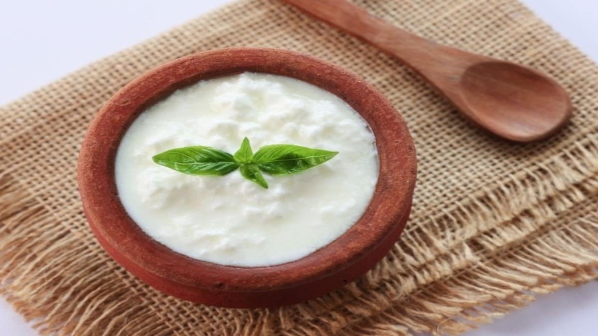 Health Benefits Of Eating Curd Daily