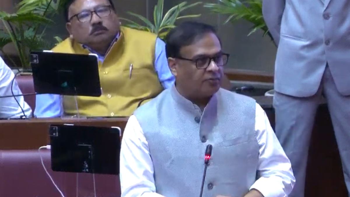 Nellie Massacre Report