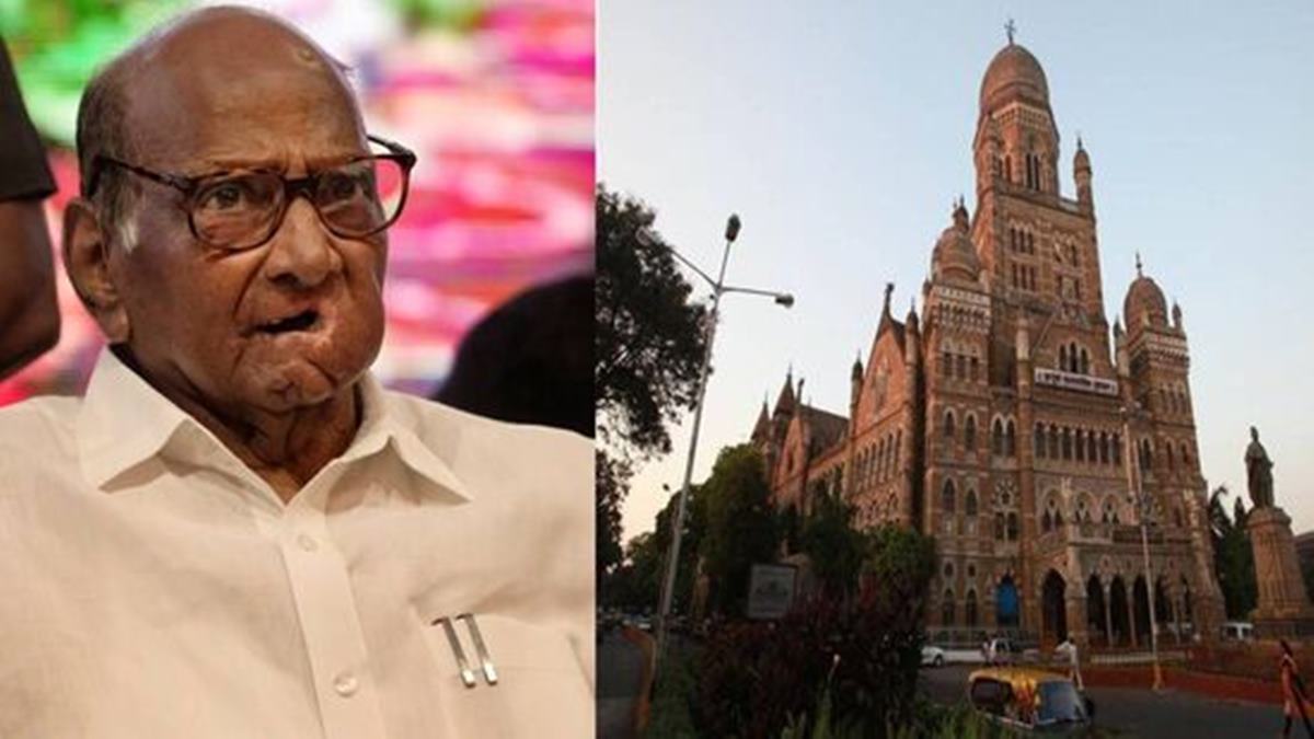 BMC Election NCP Sharad Pawar Alliance