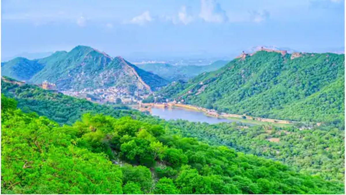 Aravalli Mountain Protection