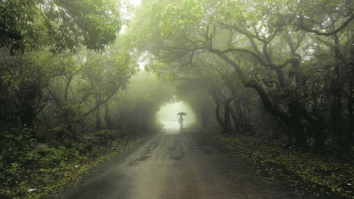 Mahabaleshwar weather